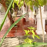 Shanty Guest House 2